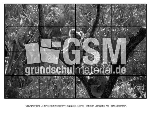 Puzzle-Koala-2.pdf